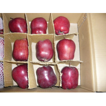 2015 Fresh Fresh Cuan Huaniu Apple